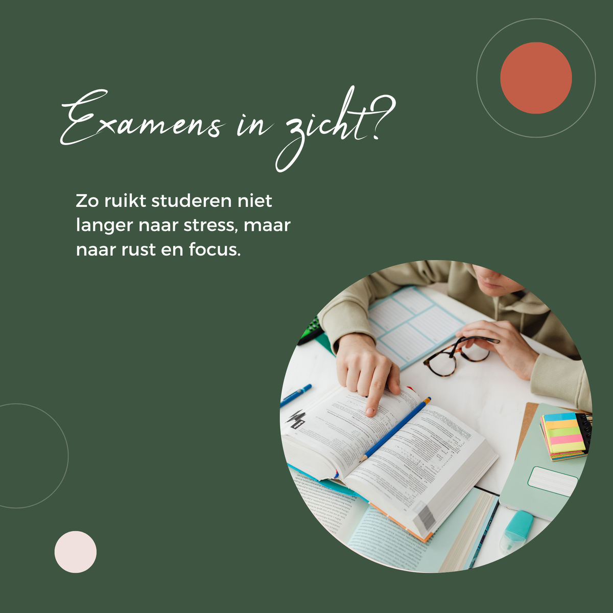Examens in zicht? Mijn 9 favoriete geurtips voor rust en focus