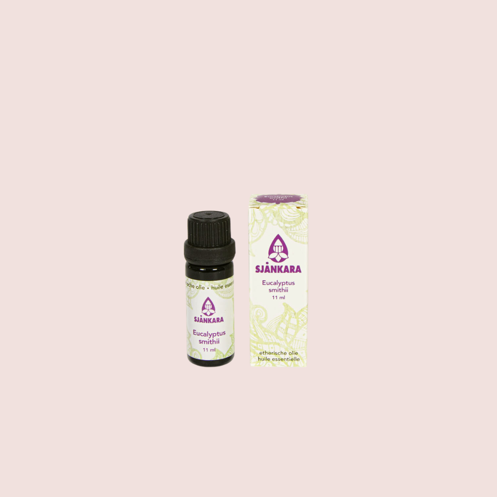 Cadeaupakket EUCALYPTUS