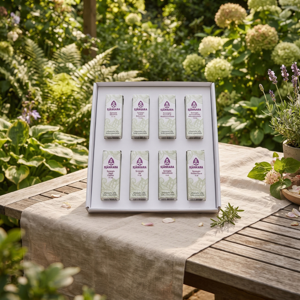Cadeaupakket LUXE BOSWANDELING
