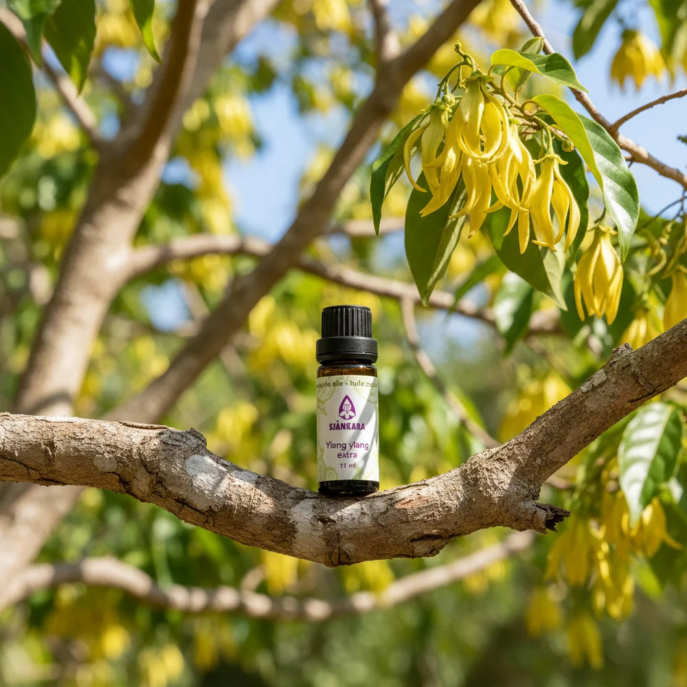 Dode zeezout 1 kg + etherische olie Ylang ylang extra