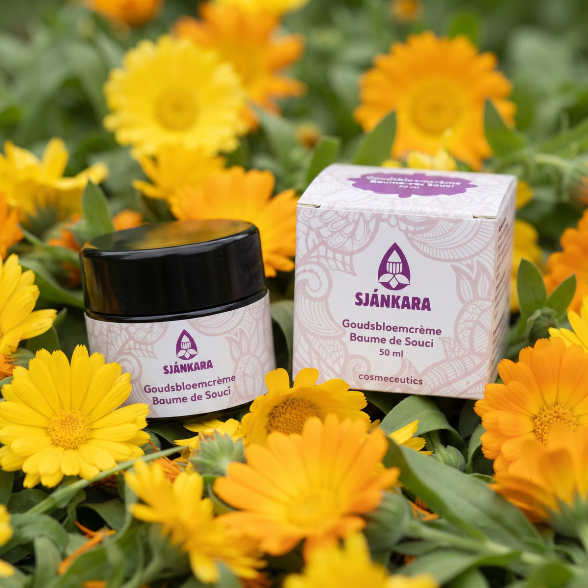 Goudsbloemcrème - 50 ml