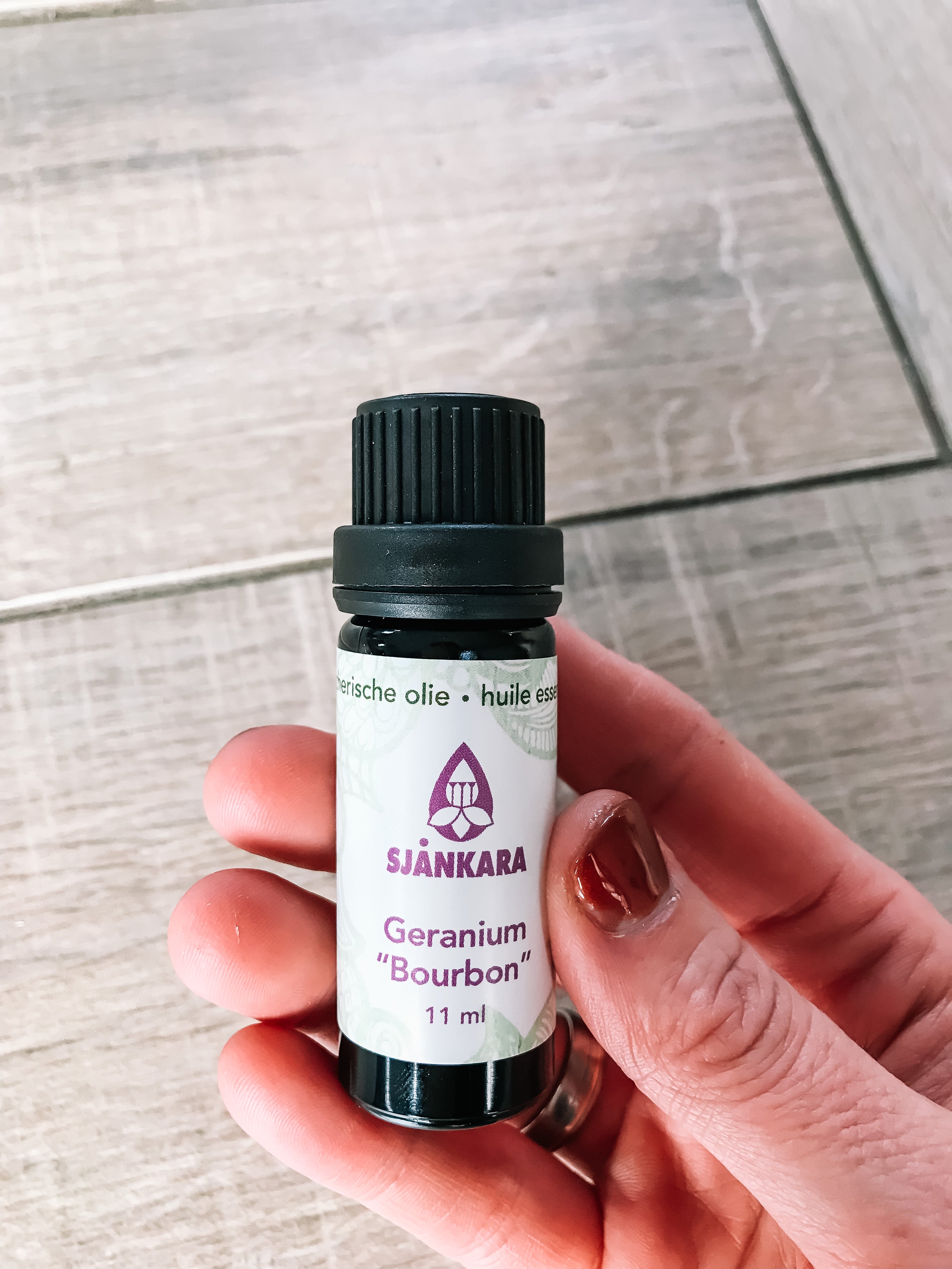 Geranium bourbon