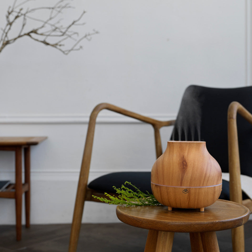 Ultrasoon differs mist