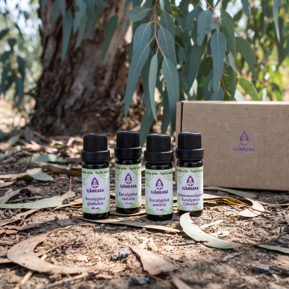 Cadeaupakket EUCALYPTUS